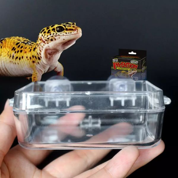Nomoypet Translucent Plastic Food Water 2 in 1 Reptile Feeding Bowl Mealworm Anti-Escape Feeder for Tortoise Gecko Snakes Chameleon
