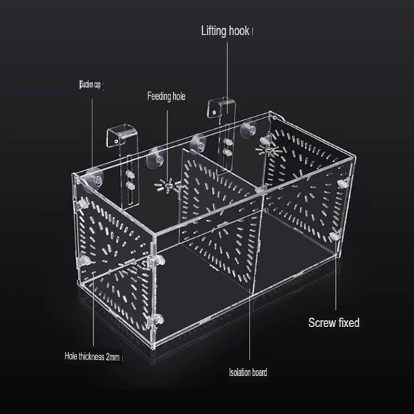 B&K Acrylic Transparent Fish Tank Breeding Isolation Box (2 Sizes)
