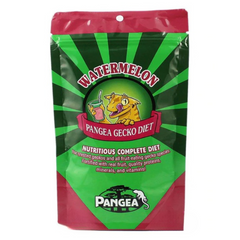 Pangea Watermelon Complete Gecko Diet - 56g, Small Reptile Feeding Dish Bowl, White Ceramic Reptile Food Bowl NFF-49 - COMBO