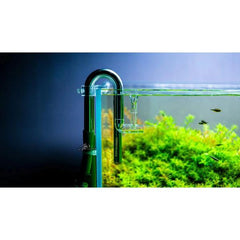 Aquapro Stainless Steel Lily Pipe Set 12mm and 16mm with Skimmer (Free Lily Out)