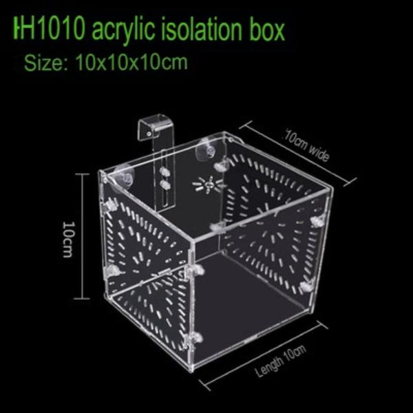 B&K Acrylic Transparent Fish Tank Breeding Isolation Box (2 Sizes)