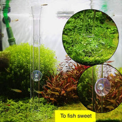 Shrimp Feeding Tube and Dish Clear Glass Feeder