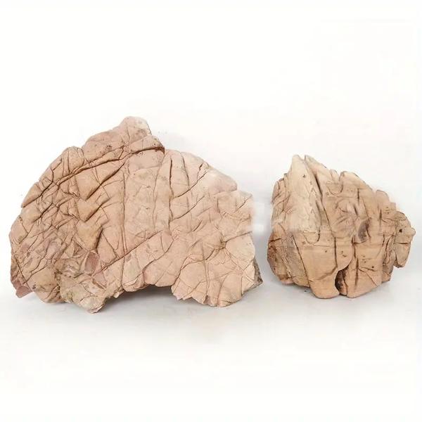 Turtle Stone 1kg