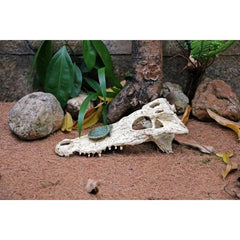 Crocodile Reptile Amphibian Skull Habitat Hide Premium Non-Toxic Resin for Aquariums & Terrariums