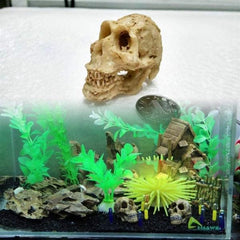 Aquarium Animal Skull Decor