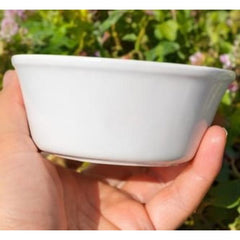 Reptile Feeding Bowl - 11.5 X 4.3 CM