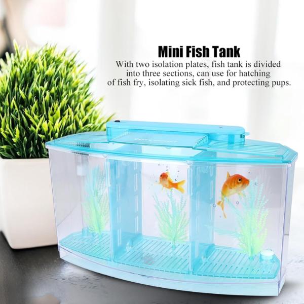 Isolation Acrylic Small Aquarium with 2 Color Lighting