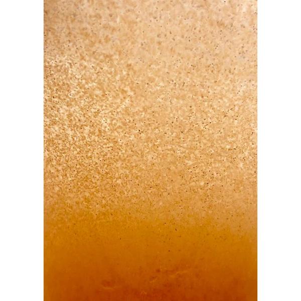 American Eagle Brine Shrimp Eggs 50g