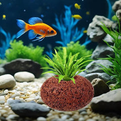 Aquarium Plant Anti-Floating Oval Rock – 6.5 × 3.5 cm