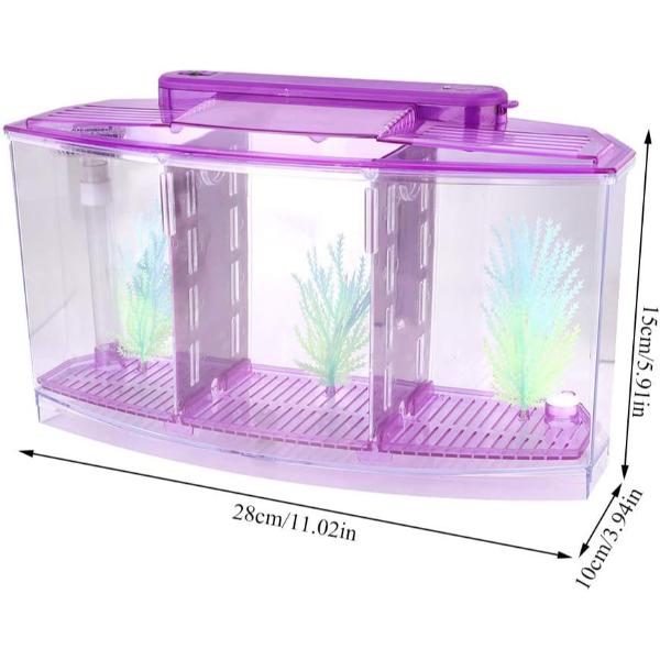 Isolation Acrylic Small Aquarium with 2 Color Lighting
