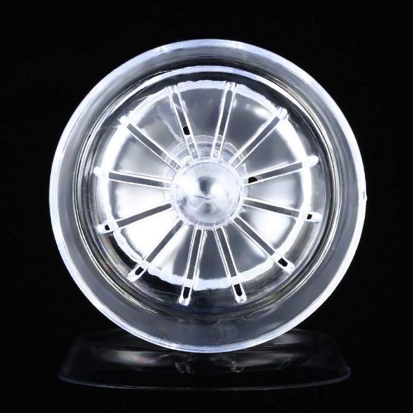 Clear Snail Trap for Planarian Leech