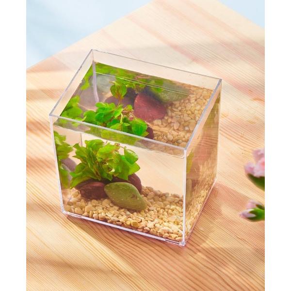 Acrylic Betta Fish Tank 16.5x12x16.5cm