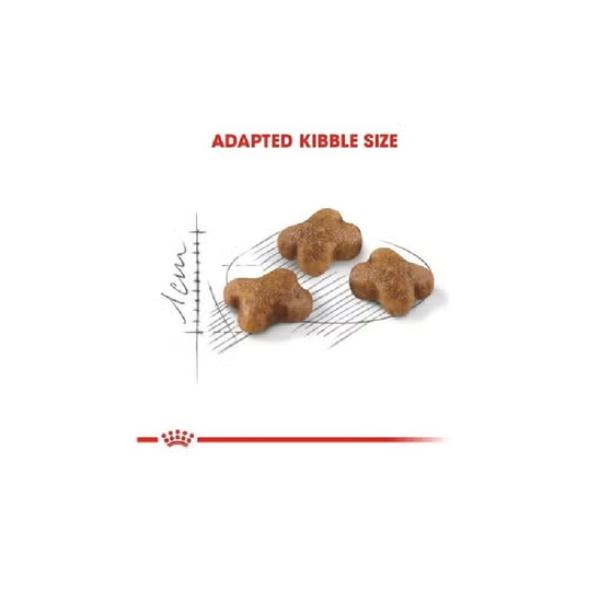 Royal Canin B&K Feline Health Nutrition Kitten 4kg