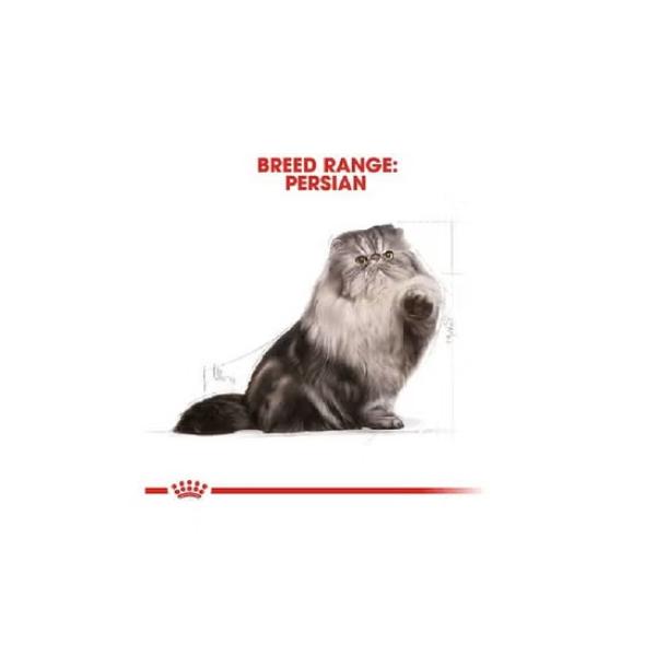 ROYAL CANIN B&K Feline Breed Nutrition Persian Adult Cat Dry Food 2kg