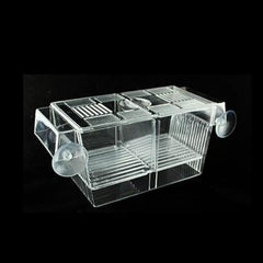 Breeding Box Hatchery