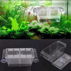 Breeding Box Hatchery