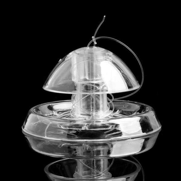 Clear Snail Trap for Planarian Leech