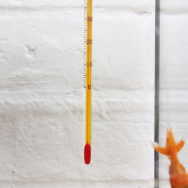 Aquarium Thermometer Long Yellow