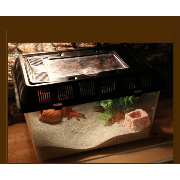 Nomoypet Reptile Natural Crawl Sand Red, White  1.8KG