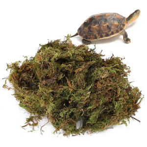 Natural Reptile Terrarium Moss, Substrate Turtle Tank Terrarium Moss - Green, 1000G/500G