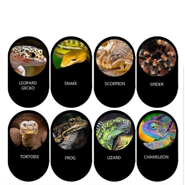 NOMOYPET Ceramic Reptile Food Water Bowl