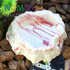 Reptile Food Dish Terrarium Water Bowl Food Feeding Bowl for Reptile Amphibian 10 X 2.5cm
