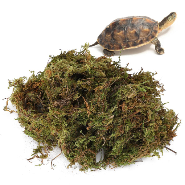 Natural Reptile Terrarium Moss, Substrate Turtle Tank Terrarium Moss - Green, 1000G/500G