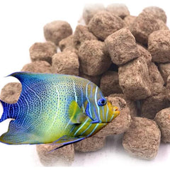 Artemia Brine Shrimp Cubes Fish Food 40g