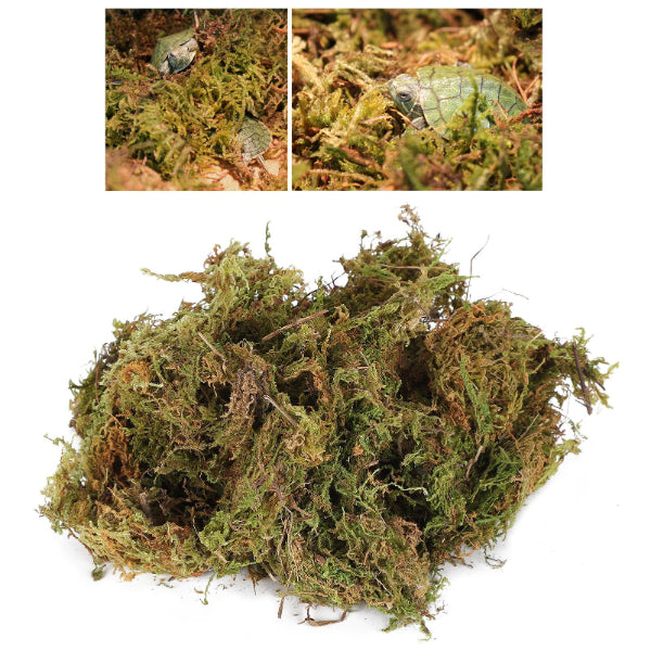 Natural Reptile Terrarium Moss, Substrate Turtle Tank Terrarium Moss - Green, 1000G/500G