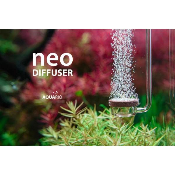 Aquario Neo Co2 Diffuser Special Normal Type 3 Sizes – B&K PET Shop