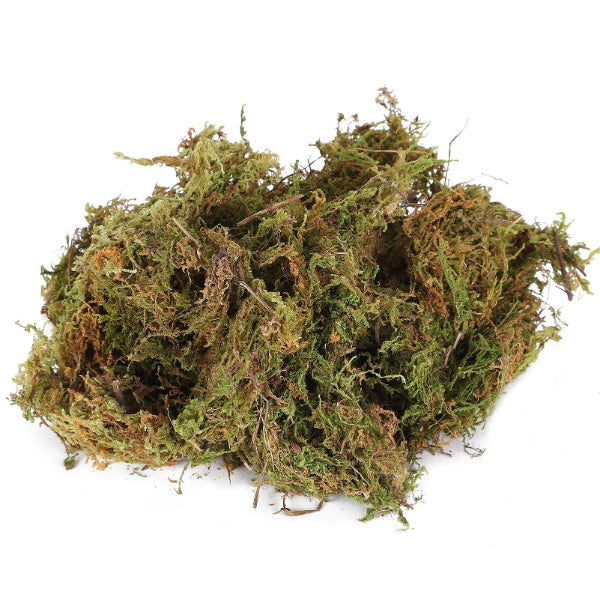 Natural Reptile Terrarium Moss, Substrate Turtle Tank Terrarium Moss - Green, 1000G/500G