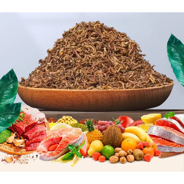 Dried Bloodworm 16g