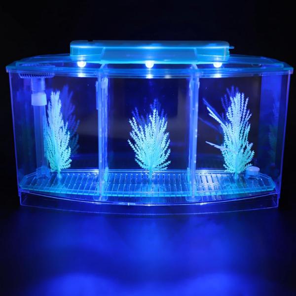 Isolation Acrylic Small Aquarium with 2 Color Lighting