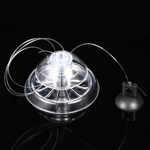 Clear Snail Trap for Planarian Leech