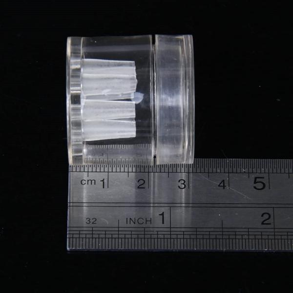 Plastic Trapper For Planarian Worm 8 Holes