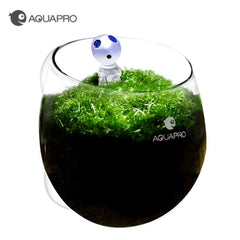 AQUA PRO - Plant Holder Glass