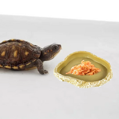 Brown Resin Terrarium Bowl Feeding Plate Water Food Dish Feeder for Reptiles NS-26