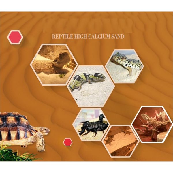 Nomoypet Reptile Natural Crawl Sand Red, White  1.8KG