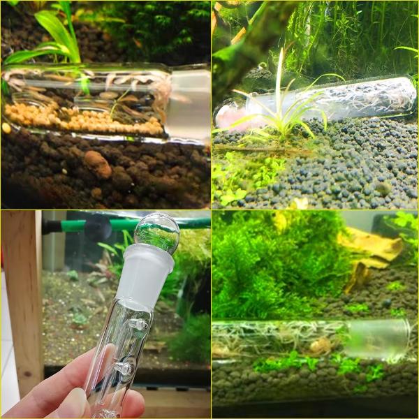 Planaria Trap 3 Holes Aquarium