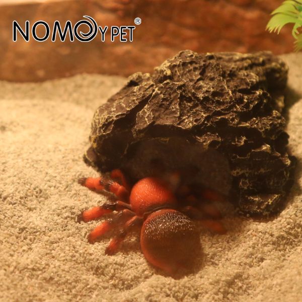 Nomoypet Reptile Natural Crawl Sand Red, White  1.8KG