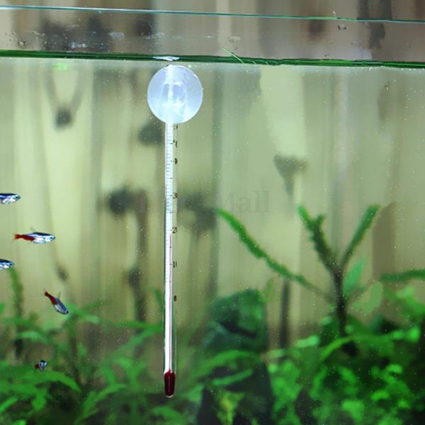 Long Glass Thermometer