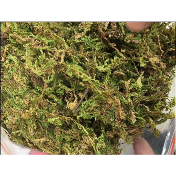 Natural Reptile Terrarium Moss, Substrate Turtle Tank Terrarium Moss - Green, 1000G/500G