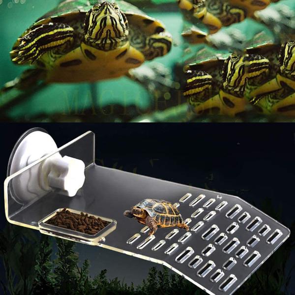 Turtle Floating Platform, Turtle Basking Platform Stand, Acrylic Terrace Turtle Bask Terrace Island Floating Basking Platform, Climb Terrarium Aquarium Tank