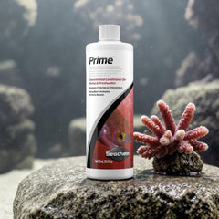 Seachem Prime 500ml Concentrated Aquarium Water Conditioner – Removes Chlorine, Chloramine & Ammonia Detoxifier – with FREE Short Glass Thermometer