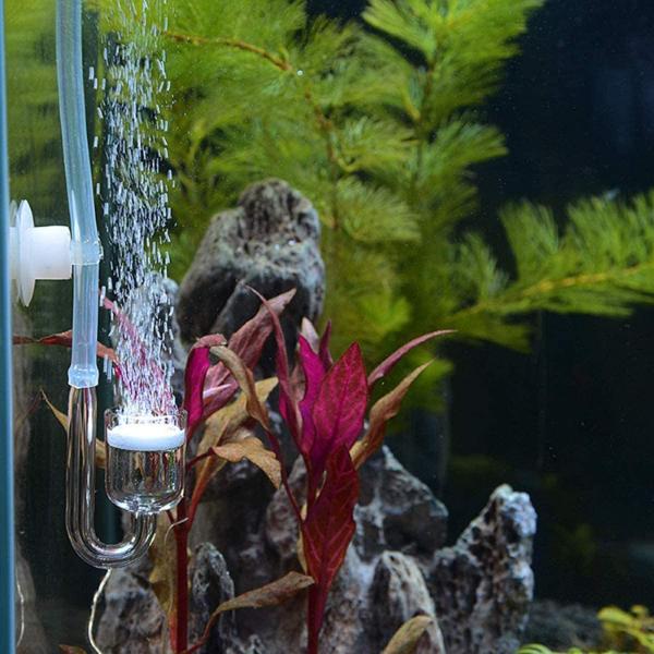 Aquarium 4 in 1 Bubble Counter DIY CO2 Generator