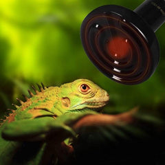 Ceramic Heat Lamp, Upgraded Thicker Infrared Reptile Heat Emitter Heater Lamp Bulb for Pet Coop Lizard Turtle Snake Aquarium, 24hr Heat Source