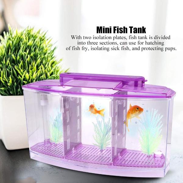 Isolation Acrylic Small Aquarium with 2 Color Lighting