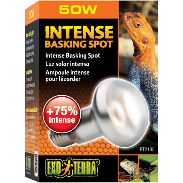 Exo Terra Reptile Intense Basking Spot Light Increase Luminous Intensity