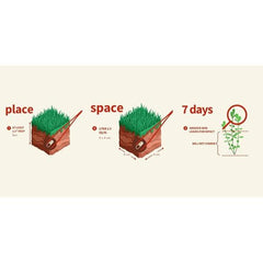 The 2Hr Aquarist APT Jazz | Aquarium Plant Root Fertilizer