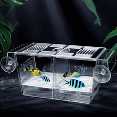 Breeding Box Hatchery